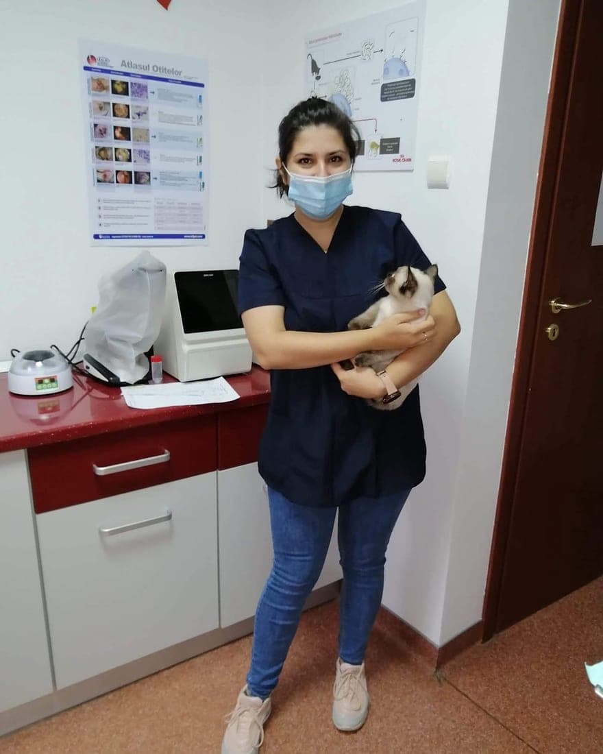 Dr. Ciupe Adela cu o pisică în brațe, lângă aparatura de analize din cabinet